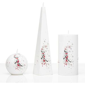 Kaarsen - Set Handgeschilderd - winter - vogels - kerst - kaars - kerstverlichting