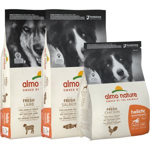 Almo Nature Hond Holistic Droogvoer voor Middelgrote tot Grote Hondenrassen - Maintenance - Rundvlees, Kip, Lam of Zalm in 400gr, 2kg of 12kg - Smaak: Rundvlees, Gewicht: 12kg - Large