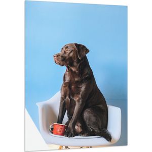 WallClassics - Vlag - Grote Hond Zittend op Stoel met Kop Koffie - 100x150 cm Foto op Polyester Vlag