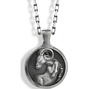 Aries zodiac coin ketting voor vriendin cadeau Oxidized 24 inches