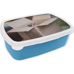 Broodtrommel Blauw - Lunchbox - Brooddoos - Hamster komt tevoorschijn uit een kartonnen doos - 18x12x6 cm - Kinderen - Jongen