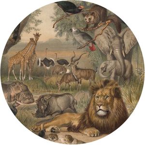 WallArt-Behangcirkel-Animals-of-Africa-142,5-cm