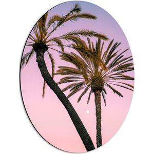 WallClassics - Dibond Ovaal - Twee Palmbomen bij Roze-Blauwe Lucht - 42x56 cm Foto op Ovaal (Met Ophangsysteem)
