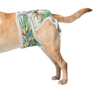Loopsheidbroekje hond Tropical Maat M - Wasbaar - Hondenluier - Bij loopsheid en inconintentie