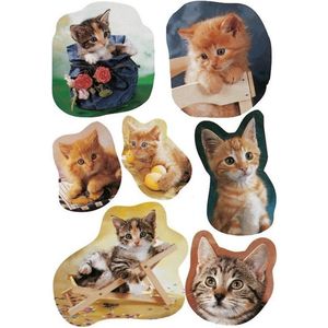 21x  Katten/poezen dieren stickers - kinderstickers - stickervellen - knutselspullen