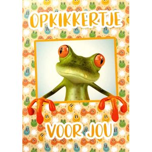 Kaart - Fun - Opkikkertje voor jou - BWH09-C