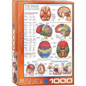 Eurographics puzzel The Brain - 1000 stukjes