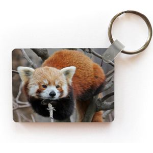 Sleutelhanger - Rode Panda - Takken - Boom - Uitdeelcadeautjes - Plastic