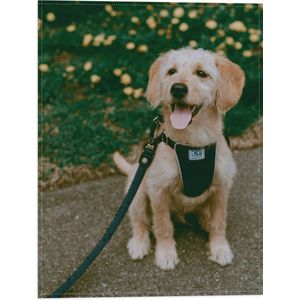 WallClassics - Vlag - Zittende Hond met Tong en Tuigje met Halsband - 30x40 cm Foto op Polyester Vlag