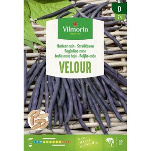Vilmorin- struikboon- Velour- V074