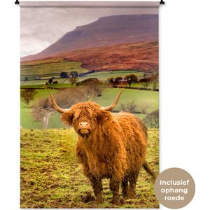 Wandkleed Schotse hooglander - Schotse hooglander in een kleurrijke omgeving Wandkleed katoen 120x180 cm - Wandtapijt met foto XXL / Groot formaat!