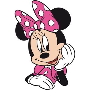 Disney Kussen Minnie Mouse Junior 28 X 20 Cm Polyester Roze/wit