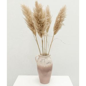 Pampasgras - 5 Stuks 110 cm - Droogbloemen - Pampas Pluimen - Decoratie Woonkamer - Decoratieve Accessoires