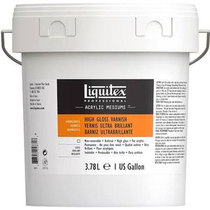 Liquitex Professional Acrylic Varnish High Gloss 3780ml