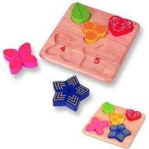 Pintoy Houten vormenpuzzel