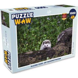 Puzzel Kleine egel op boomstronk - Legpuzzel - Puzzel 1000 stukjes volwassenen