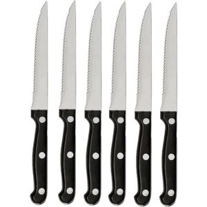 Secret de Gourmet - Steakmessen/vleesmessen - 18x stuks - RVS - 22 cm