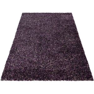 Tapijtenloods Rainbow Soft Shaggy Hoogpolig Vloerkleed Lila / Paars- 200x290 CM