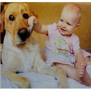 Diamond painting 30 x 30 CM canvas - 25 x 25 cm painting - 5D - Baby met hond