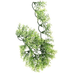 ZooMed - naturalistic flora - australian maple - small - terrariumplant