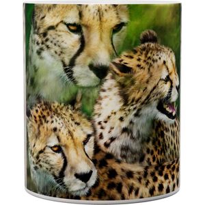 Jachtluipaard Cheetah Cheetah Moods - Mok 440 ml