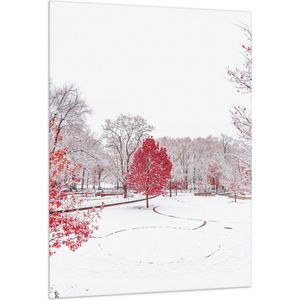 WallClassics - Vlag - Rode Boom in Witte Sneeuw - 100x150 cm Foto op Polyester Vlag