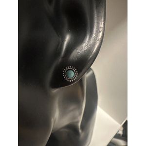 Blauwe oorknopjes |Moederdag | Vaderdag | Verjaardagscadeau| Cadeautje| Valentijnsdag| Kado | sieraden | oorbellen | oorsieraden