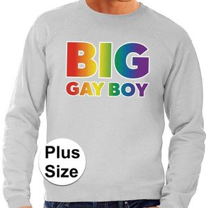 Grote maten Big Gay Boy regenboog sweater grijs -  plus size lgbt sweater voor heren - gay pride XXXXL
