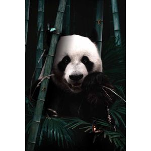 Jungle Panda op Textiel in Frame - WallCatcher | 70 x 105 cm | Breed zwart Textielframe 27 mm | Jungle Reuzenpanda op peesdoek