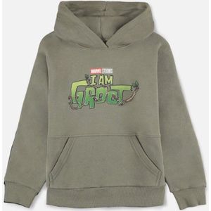 Marvel Guardians Of The Galaxy - I Am Groot Kinder hoodie/trui - Kids 110/116 - Groen