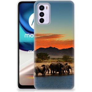 Motorola Moto G42 TPU Hoesje Olifanten