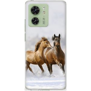 Motorola Edge 40 TPU Hoesje Paarden