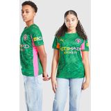PUMA - Manchester City 25/26 - Keepershirt - Groen
