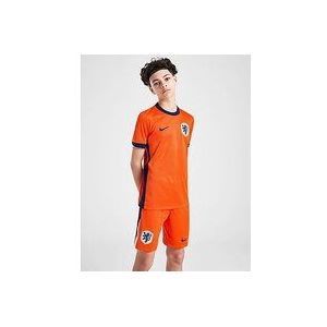 Nike Netherlands 2024 Home Shorts Junior - Orange, Orange
