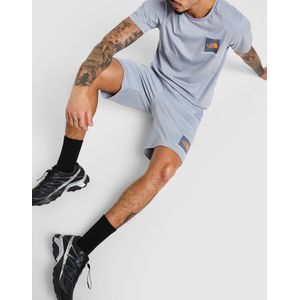 The North Face Fine Box Logo Shorts - Grijs- Heren, Grijs