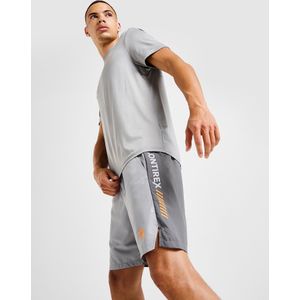 MONTIREX Proton Linear Shorts - Grijs- Heren, Grijs