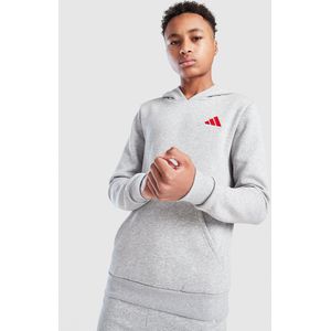 adidas Core Badge of Sport Hoodie Junior - Grijs - Kind, Grijs