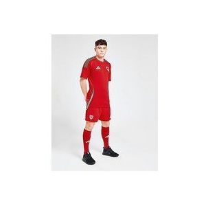 adidas Wales 2024 Home Shorts - Red- Heren, Red