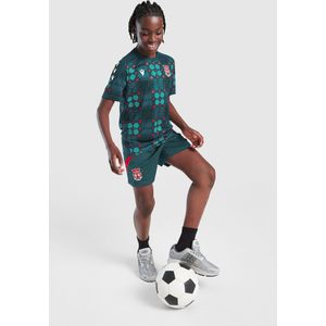 Macron Wrexham AFC Training Shorts Junior - Groen - Kind, Groen