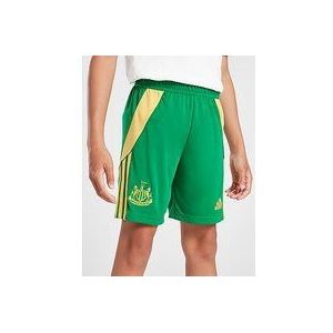 adidas Newcastle United 2024/25 Goalkeeper Shorts Junior - Green - Kind, Green