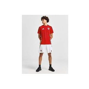 adidas Wales 2024 Home Shorts - White- Heren, White