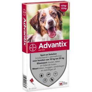 Advantix 250 10-25 kg 6 pipetten