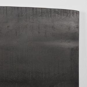 Label51 Tree Edge tafelblad zwart mangohout 120x70cm