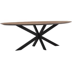 DTP Home Timeless eettafel ovaal teakhout 240x110x78cm