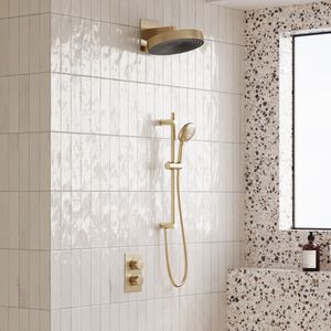 Saniclear Evolution regendouche met handdouche en glijstang messing geborsteld
