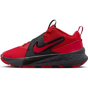 Nike Team Hustle D 12 basketbalschoenen voor kids - Rood