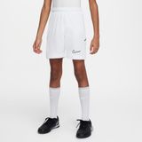 Nike - Academy - Voetbalshorts - Blauw - Dri-FIT - 18 cm