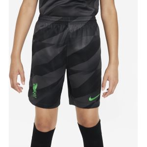 Liverpool FC 2023/24 Stadium Goalkeeper Nike Dri-FIT voetbalshorts voor kids - Grijs