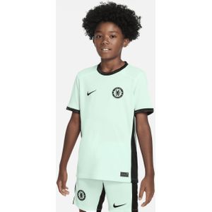 Chelsea FC 2023/24 Stadium Derde Nike Dri-FIT voetbalshirt voor kids - Groen