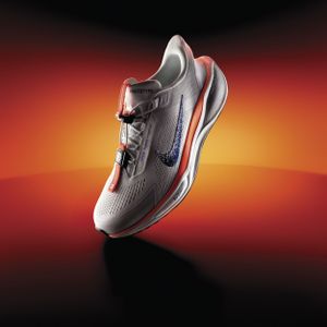 Nike Pegasus EasyOn Blueprint hardloopschoenen voor heren (straat) - Meerkleurig